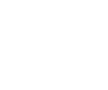 Search Icon
